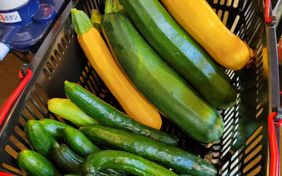 完全無農薬野菜販売してます!