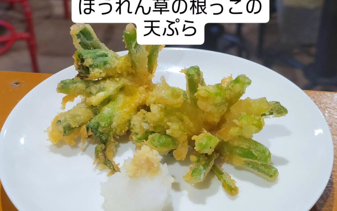 ほうれん草の根っこを使って